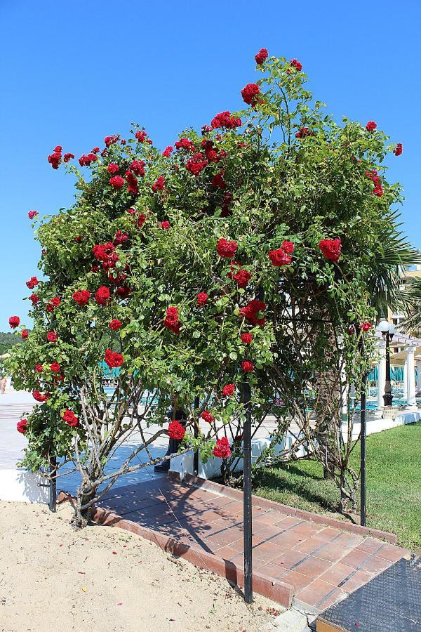Duni Marina Beach Hotel Dyuni Dış mekan fotoğraf
